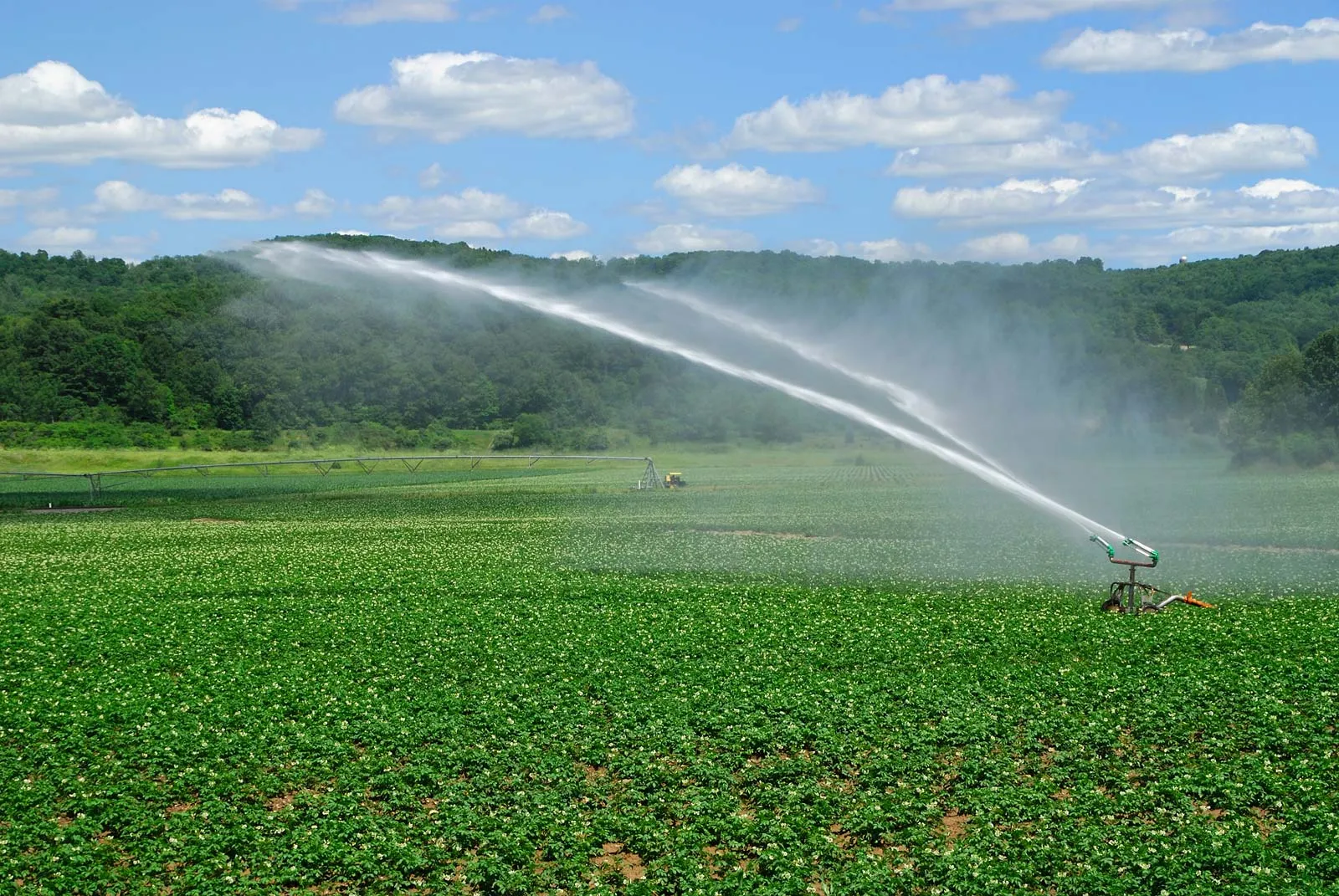 Agriculture