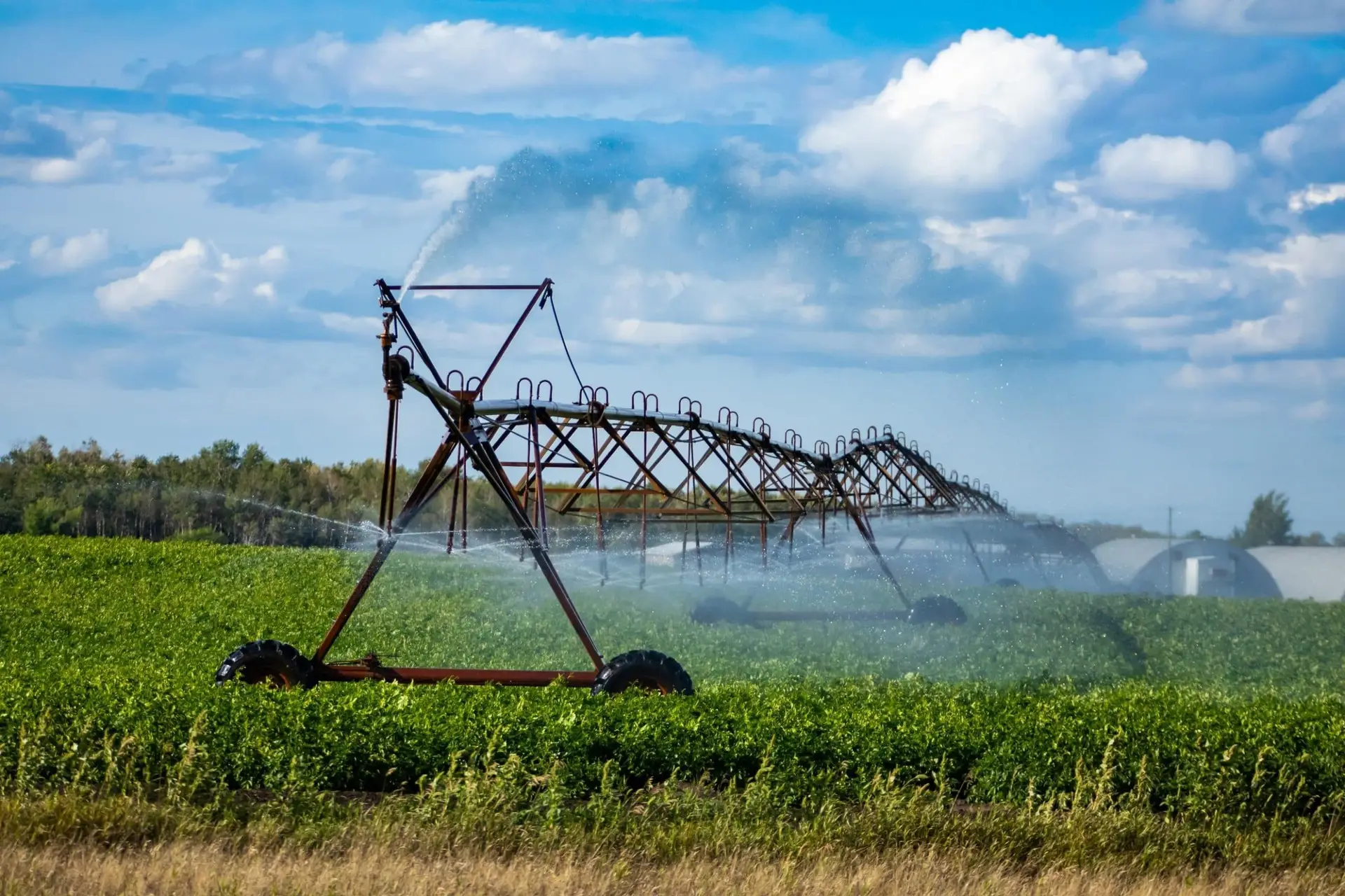 Water management