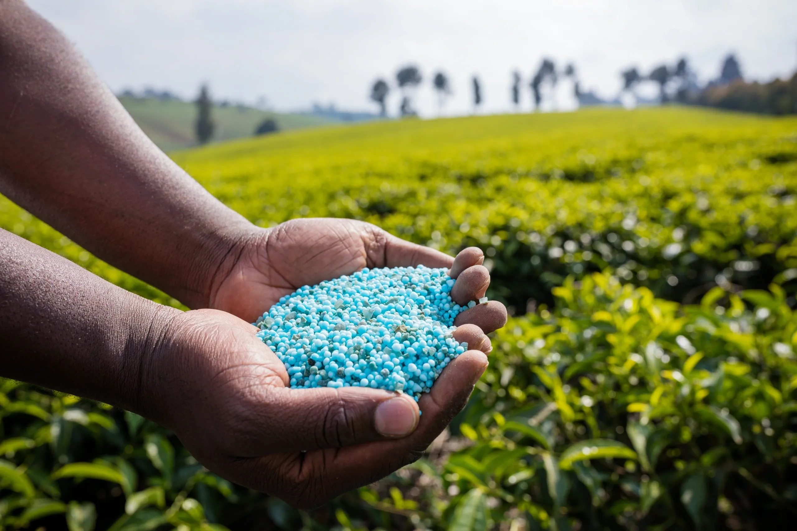 Fertiliser application