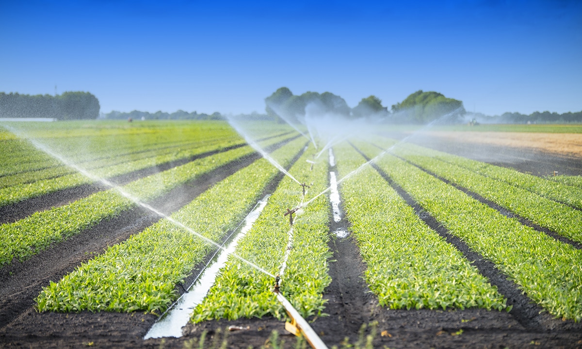 Sustainable water systems